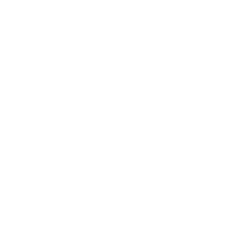 balao icon